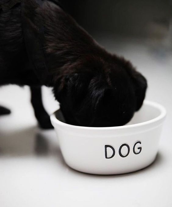 Bruka Design Dog ruokakuppi pieni, valkoinen mustalla tekstillä