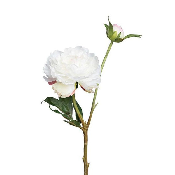 Mr Plant valkoinen pioni 35cm