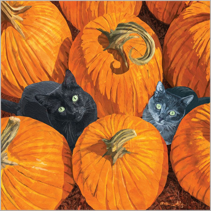 PPD Pumpkin Patch Cats paperiservetit 20kpl 33*33cm