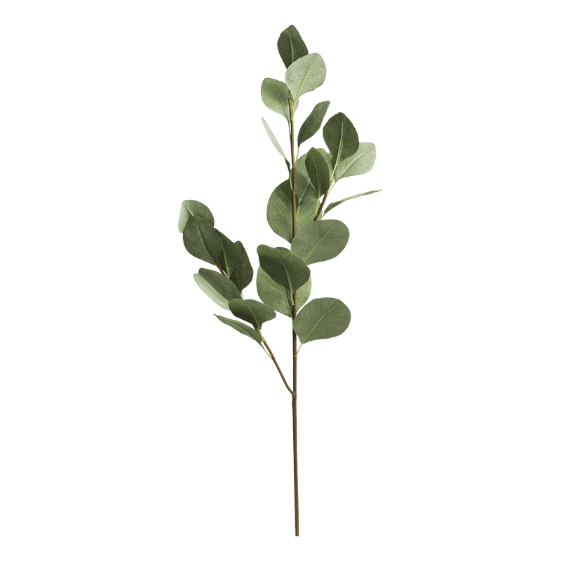 Chic Antique Fleur Eucalyptus branch koristeoksa 90cm