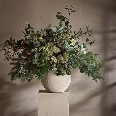 Mr Plant kuusenoksa 75cm