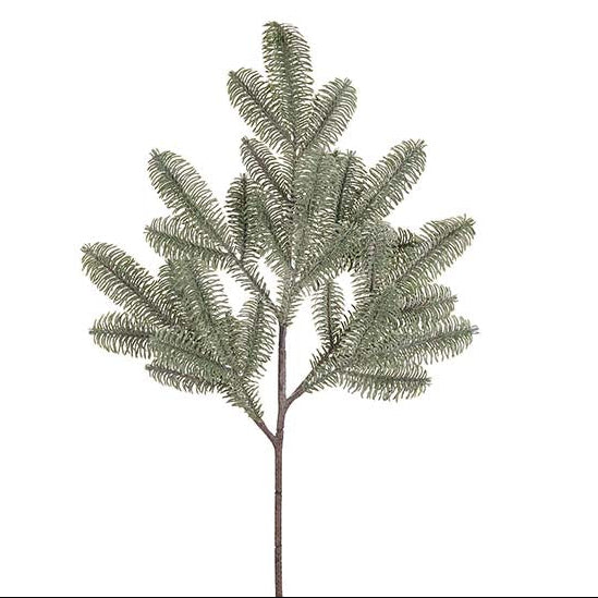 Mr Plant kuusenoksa 75cm