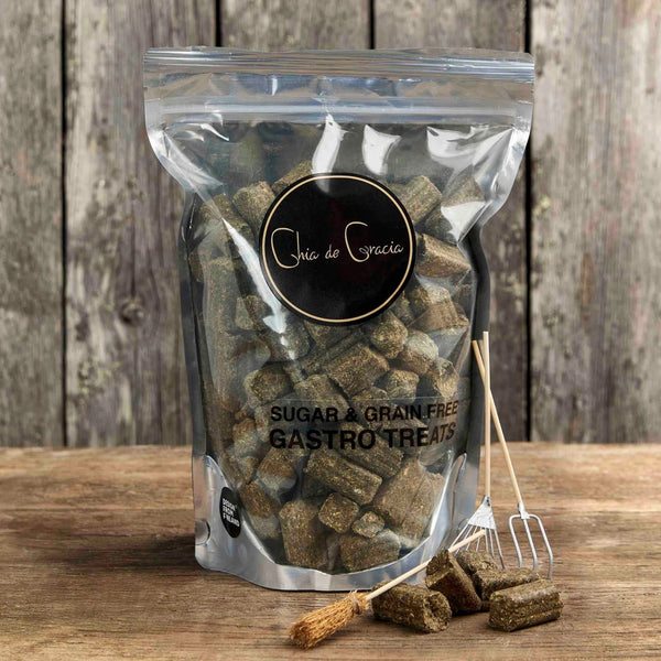CdG Gastro Treats Sugar & Grain Free Hevosille 1kg