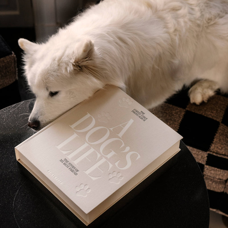 Printworks A Dog's Life valokuva-albumi, beige