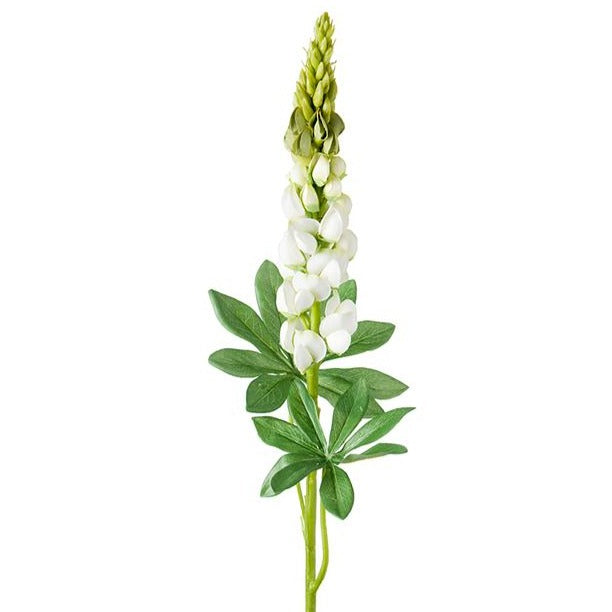Mr Plant valkoinen lupiini 80cm