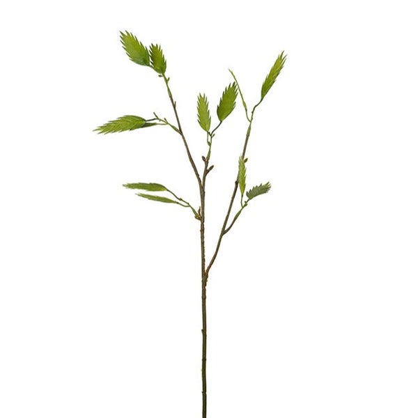 Mr Plant koristeoksa 70cm
